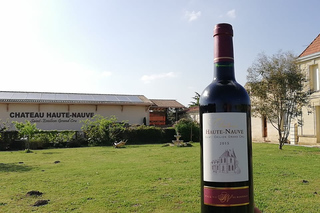 Saint-Émilion: Vineyard Walking Tour and Tasting