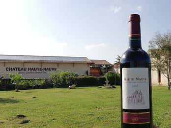 Saint-Émilion: Vineyard Walking Tour and Tasting