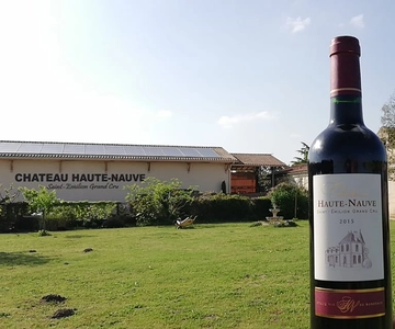 Saint-Émilion: Vineyard Walking Tour and Tasting
