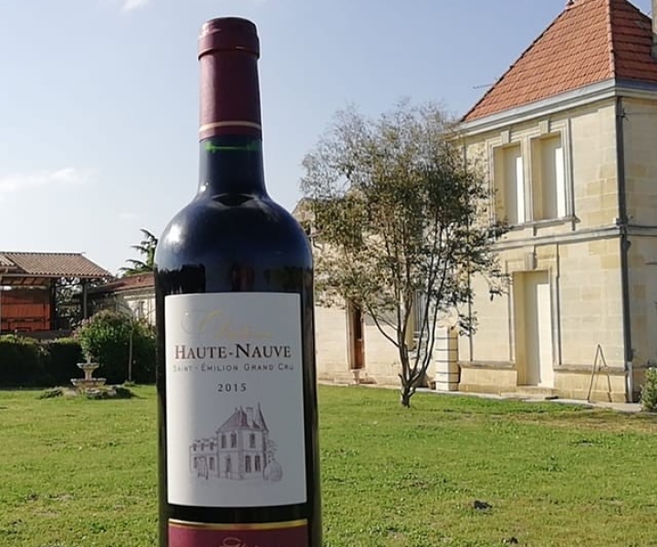 Saint-Émilion: Visita a pie a los viñedos y degustación