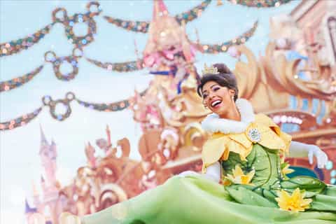 Paris: Disneyland Paris 1-Day Flexible Ticket