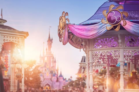 Paris: Disneyland Paris 1-Day Flexible Ticket