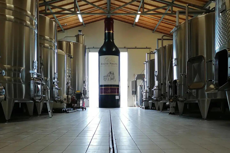 Saint-Émilion: Vineyard Walking Tour and Tasting Guided Tour in English