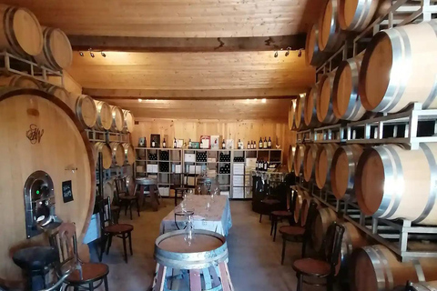 Saint-Émilion: Vineyard Walking Tour and Tasting Guided Tour in English