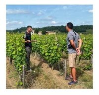 Saint-émilion, Vineyard Walking Tour e degustazione - Housity