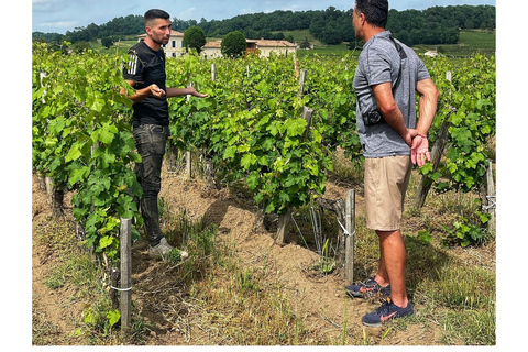 Saint-Émilion: Vineyard Walking Tour and Tasting Guided Tour in English