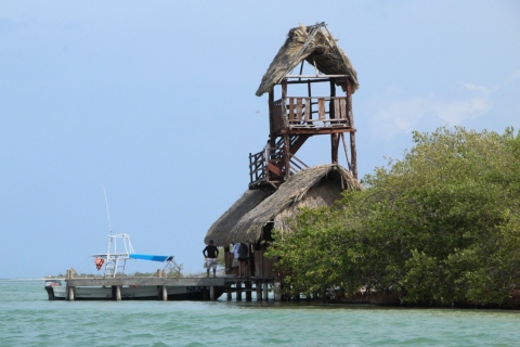 From Cancún & Playa del Carmen: Holbox Island Discovery Tour