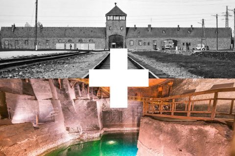 Kraków: Auschwitz-Birkenau & saltgruva, guidad tur på en dag