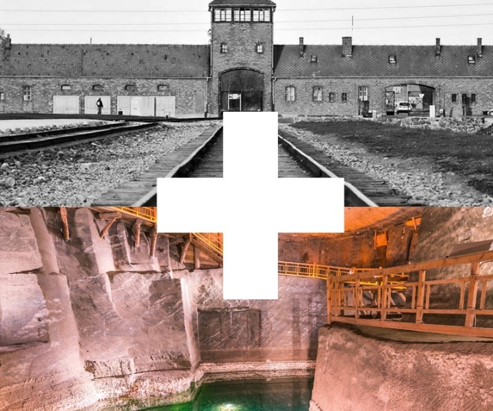 Fra Kraków: Besøk Auschwitz og Wieliczka saltgruve på 1 dag
