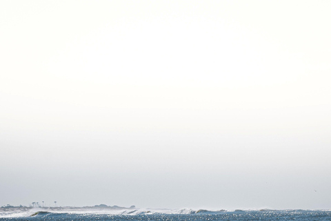 Ocean Springs: E-Foil Board Lesson