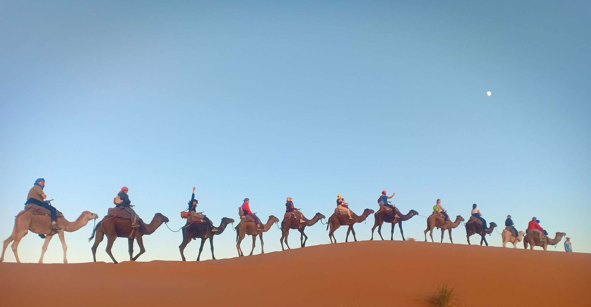 Marrakech, tournée de 3 jours à Fès avec Merzouga Desert Camping - Housity