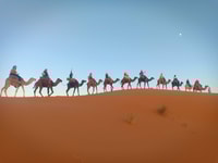 Marrakesh, 3-daagse tour naar Fez met Merzouga Desert Camping - Housity