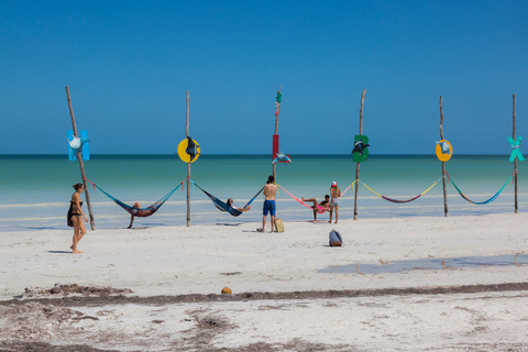 Au départ de Cancun : Excursion guidée d'une journée à Isla Holbox avec déjeuner