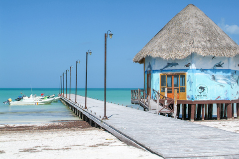 Au départ de Cancun : Excursion guidée d'une journée à Isla Holbox avec déjeuner