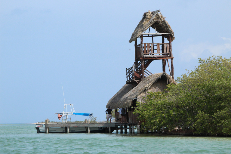 Da Cancun: gita guidata di un giorno a Isla Holbox con pranzo