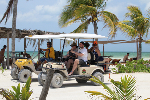 Au départ de Cancun : Excursion guidée d'une journée à Isla Holbox avec déjeuner