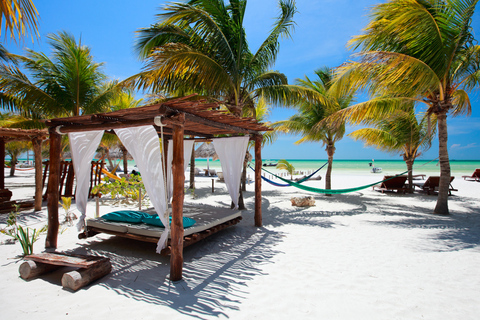 Au départ de Cancun : Excursion guidée d'une journée à Isla Holbox avec déjeuner