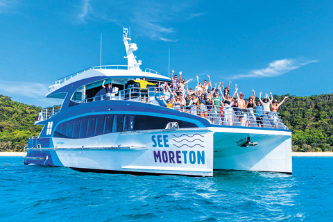 Moreton Island: Dolphin and Tangalooma Wrecks Day Cruise Cruise without Pickup