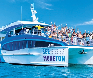 Moreton Eiland: Dolfijn en Tangalooma wrakken dagtocht