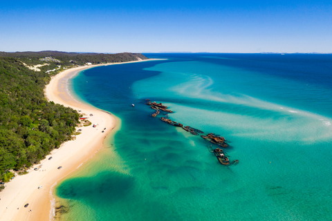 Moreton Island: Dagskryssning med delfiner och vrak från TangaloomaBåtutflykt till Moreton Island – utan upphämtning