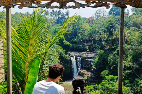 Ubud: Private Car Charter with Entry Fees Ubud Customizable Tour