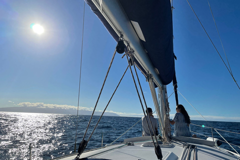 Los Gigantes: Excursión privada en velero con baño, bebida y tapasExcursión privada en velero de 3 horas