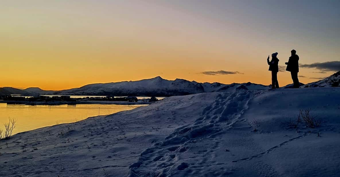 From Tromsø Small Group Arctic Fjord Tour Getyourguide