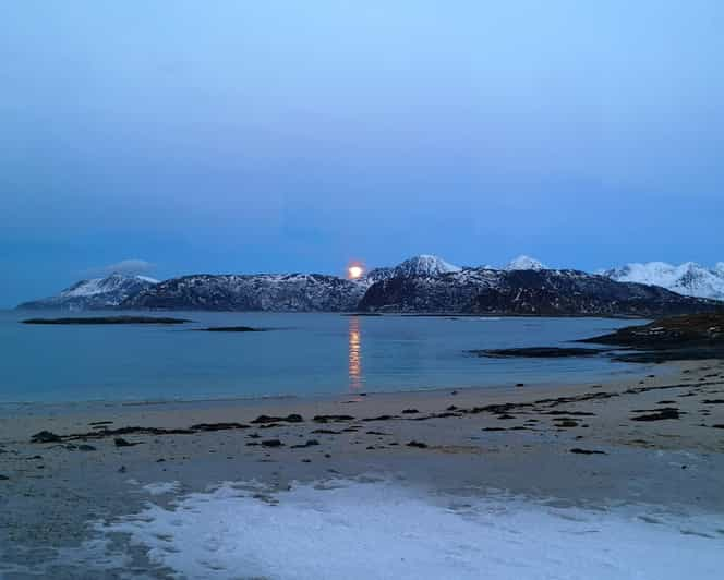 Tromsø: Arctic Fjord Excursion To Sommarøy In A Small Group | GetYourGuide