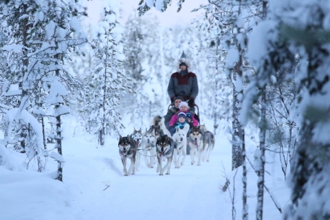 Van Rovaniemi: 5 km huskyrit in een sleeVan Rovaniemi: husky-sleetocht van 5 km met warme dranken