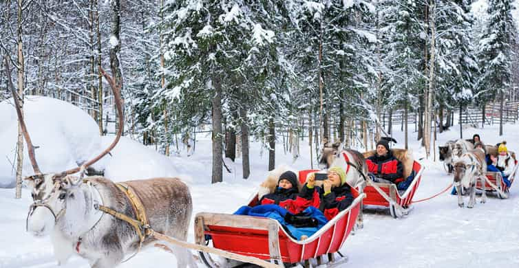 Rovaniemi Visite D Une Authentique Ferme De Rennes Et Promenade En