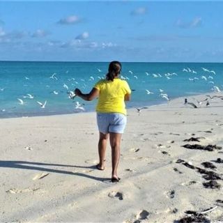 Bimini-eiland: vogelobservatietour met frisdrank