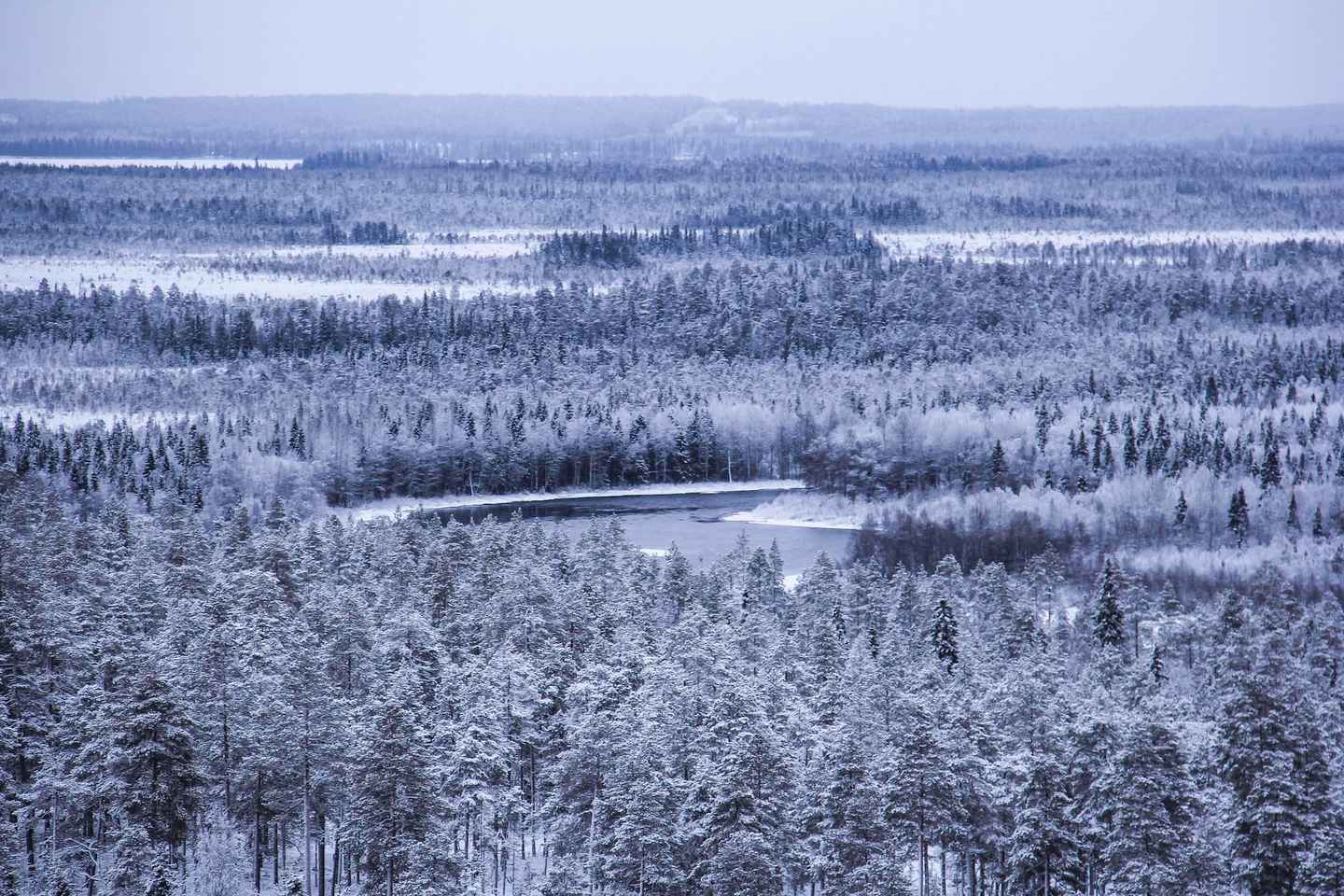 Vikakongas Hike: Naturaleza y Silencio
