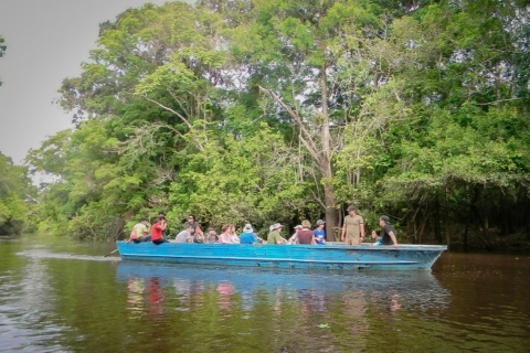 Iquitos 2-Day Amazon - Retrouvez l'esprit de l'AmazonieAu départ d'Iquitos : Excursion de 2 jours dans la forêt amazonienne