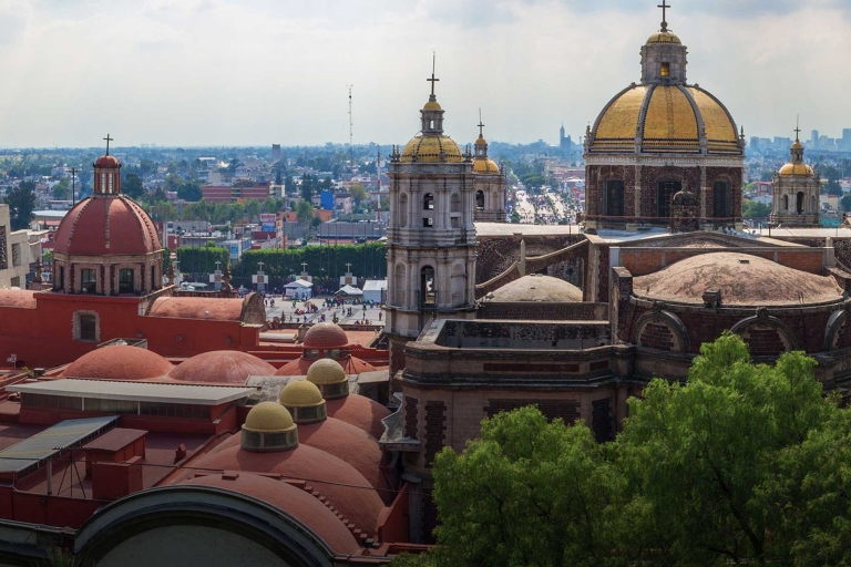 Meksyk: Wycieczka po mieście Hop-on Hop-off przez TuribusTor Polanco