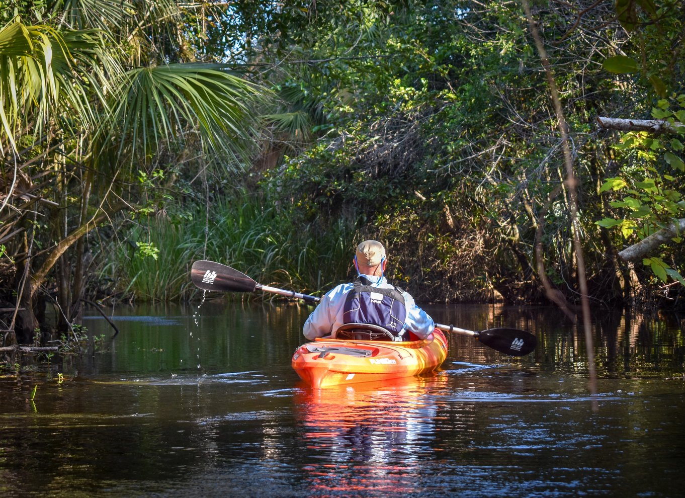 Everglades City: Guidet kajaktur i vådområderne