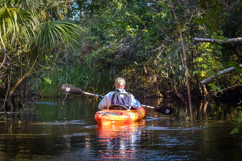 Everglades City: Guided Kayaking Tour of the Wetlands Everglades City: 4-Hour Guided Kayaking Tour of the Wetlands
