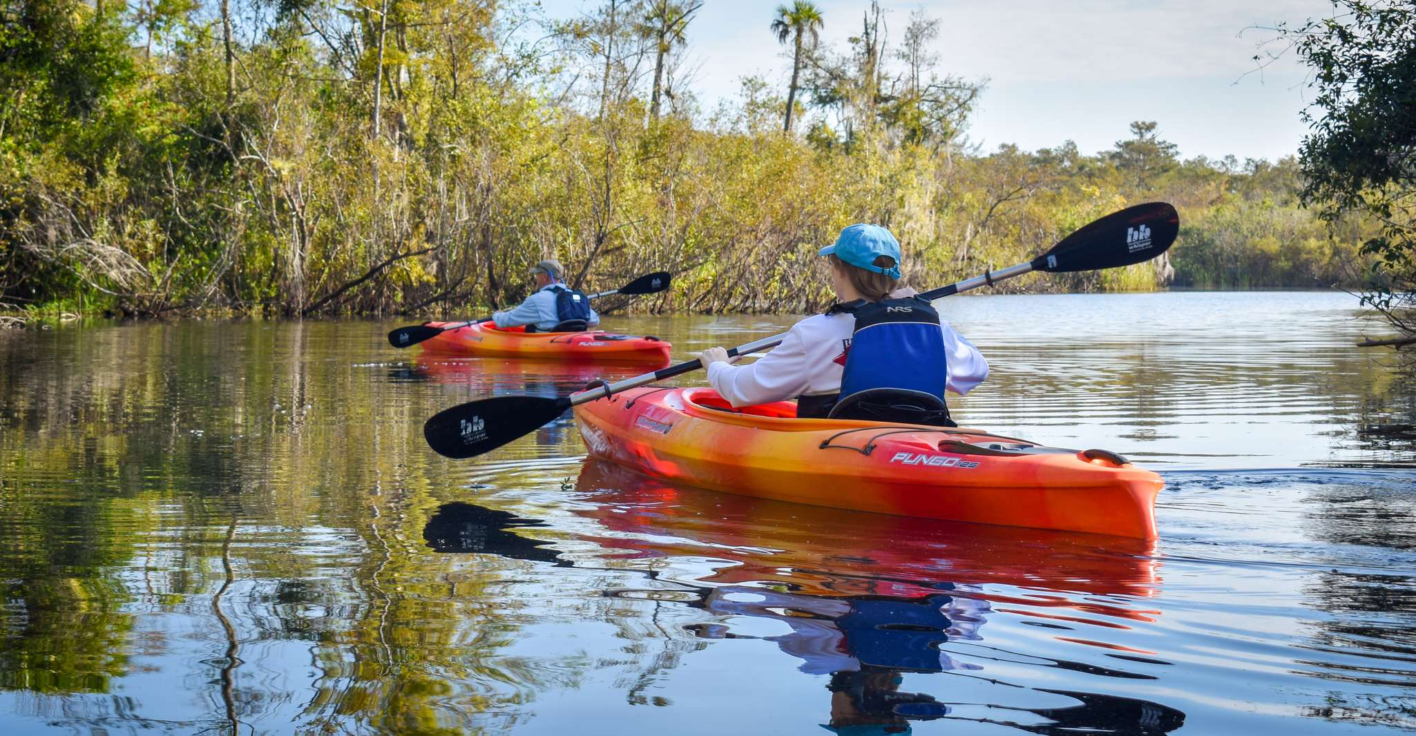Everglades City: Guided Kayaking Tour of the Wetlands