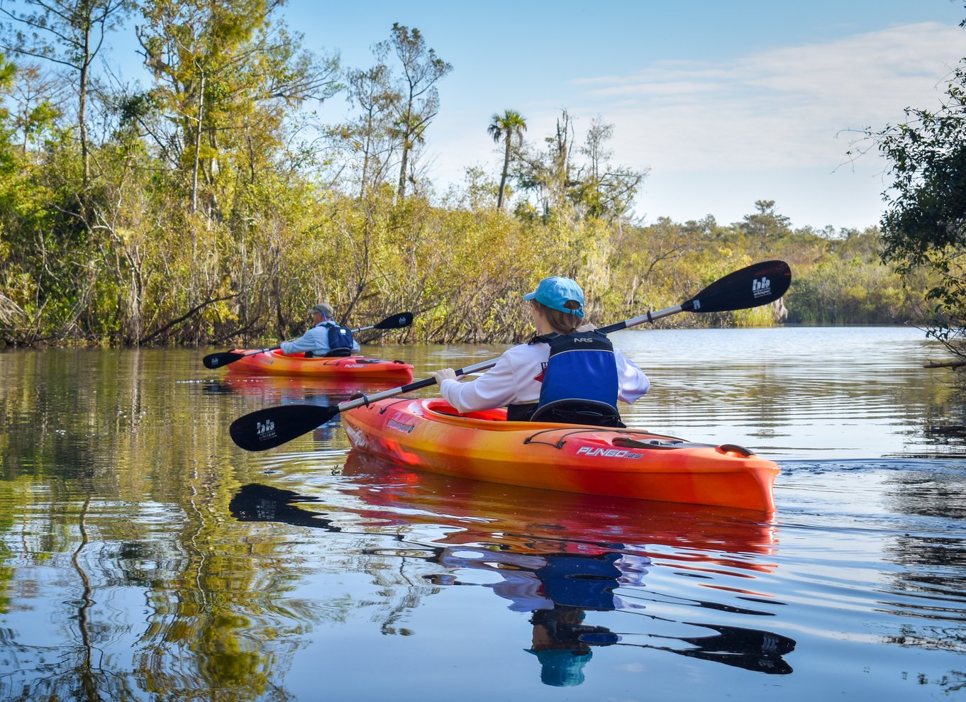 Everglades City: Guidet kajaktur i vådområderne