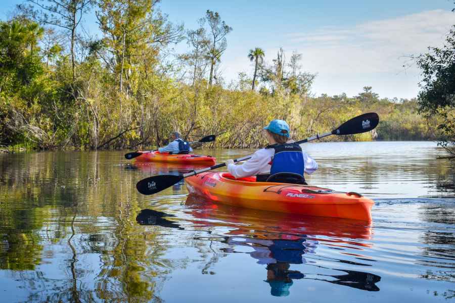 Everglades City: Geführte Kajaktour durch die Feuchtgebiete. Foto: GetYourGuide