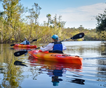 Everglades City: Guided Kayaking Tour of the Wetlands