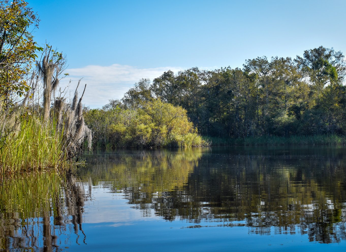 Everglades City: Guidet kajaktur i vådområderne