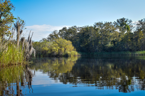 Everglades City: Guided Kayaking Tour of the Wetlands Everglades City: 4-Hour Guided Kayaking Tour of the Wetlands