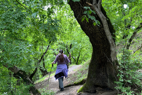 Bakú: excursión de escalada al castillo de hadas de Zagatala con acampadaBakú: Excursión al castillo encantado de Zagatala con acampada