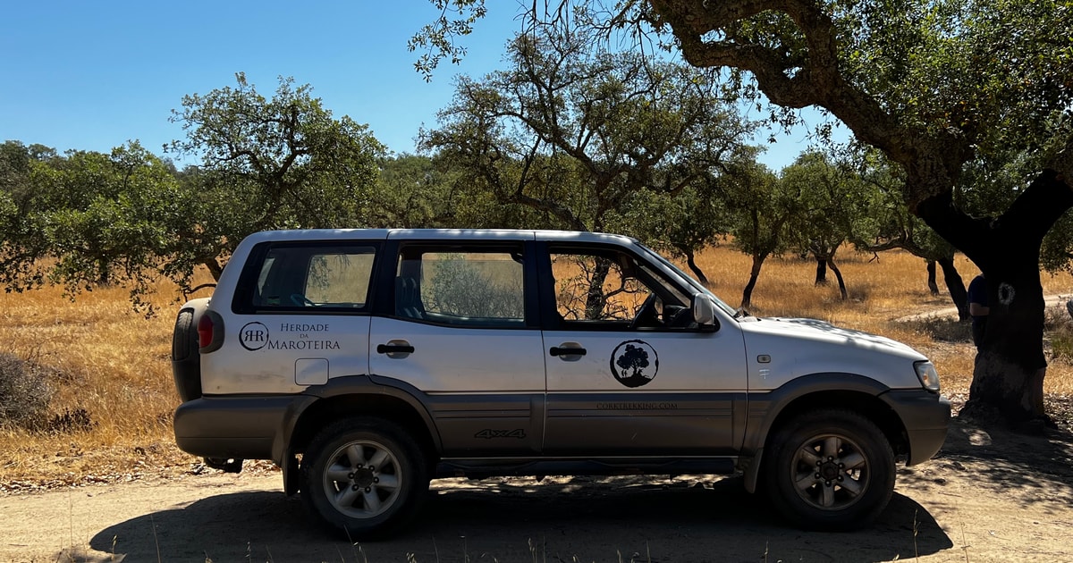Cork Farm 4x4 Cork Tour with Optional Lunch GetYourGuide