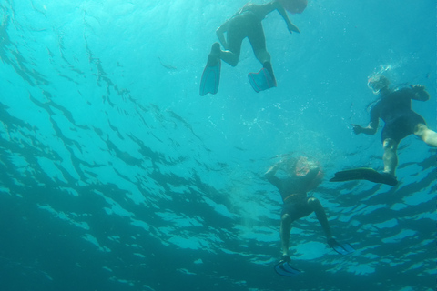 Marseille: Snorkelen in Endoume met hapjes en drankjesMarseille: Endoume snorkelavontuur met hapjes en drankjes