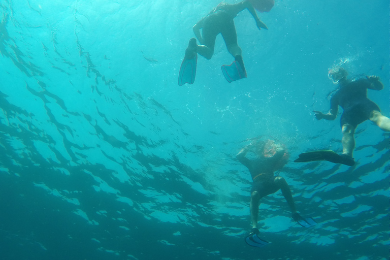 Marseille : Aventure de plongée en apnée à Endoume avec collations et boissonsMarseille : Aventure de snorkeling à Endoume avec snacks et boissons