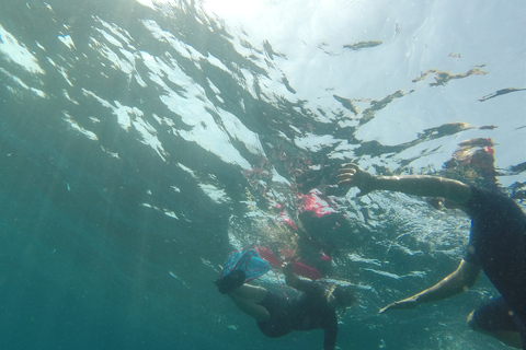 Marseille : Aventure de plongée en apnée à Endoume avec collations et boissonsMarseille : Aventure de snorkeling à Endoume avec snacks et boissons