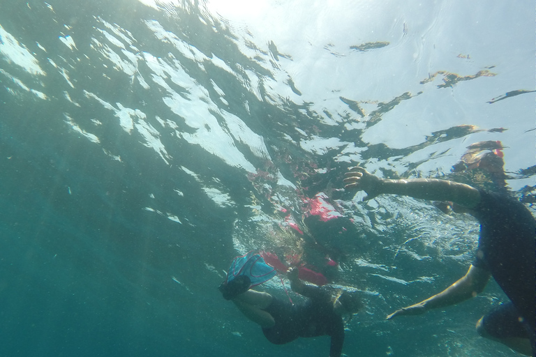 Marseille: Snorkelen in Endoume met hapjes en drankjesMarseille: Endoume snorkelavontuur met hapjes en drankjes