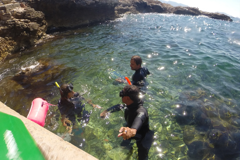 Marsella: Aventura de snorkel en Endoume con aperitivos y bebidas