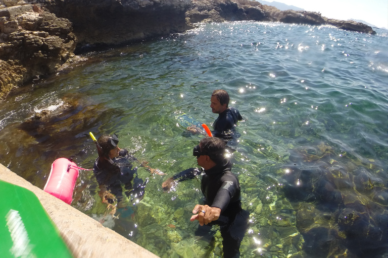 Marseille : Aventure de plongée en apnée à Endoume avec collations et boissonsMarseille : Aventure de snorkeling à Endoume avec snacks et boissons